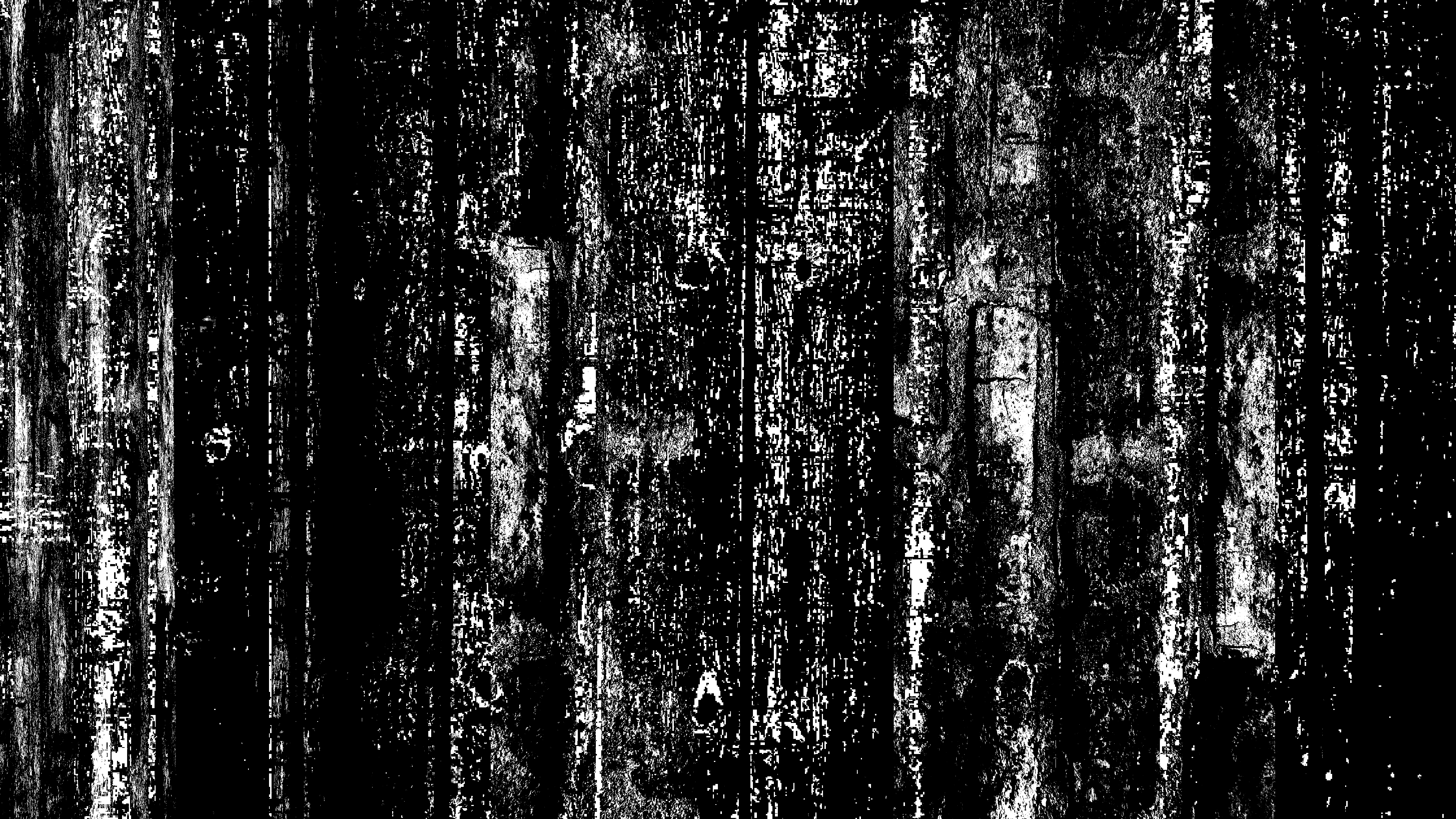Organ 4