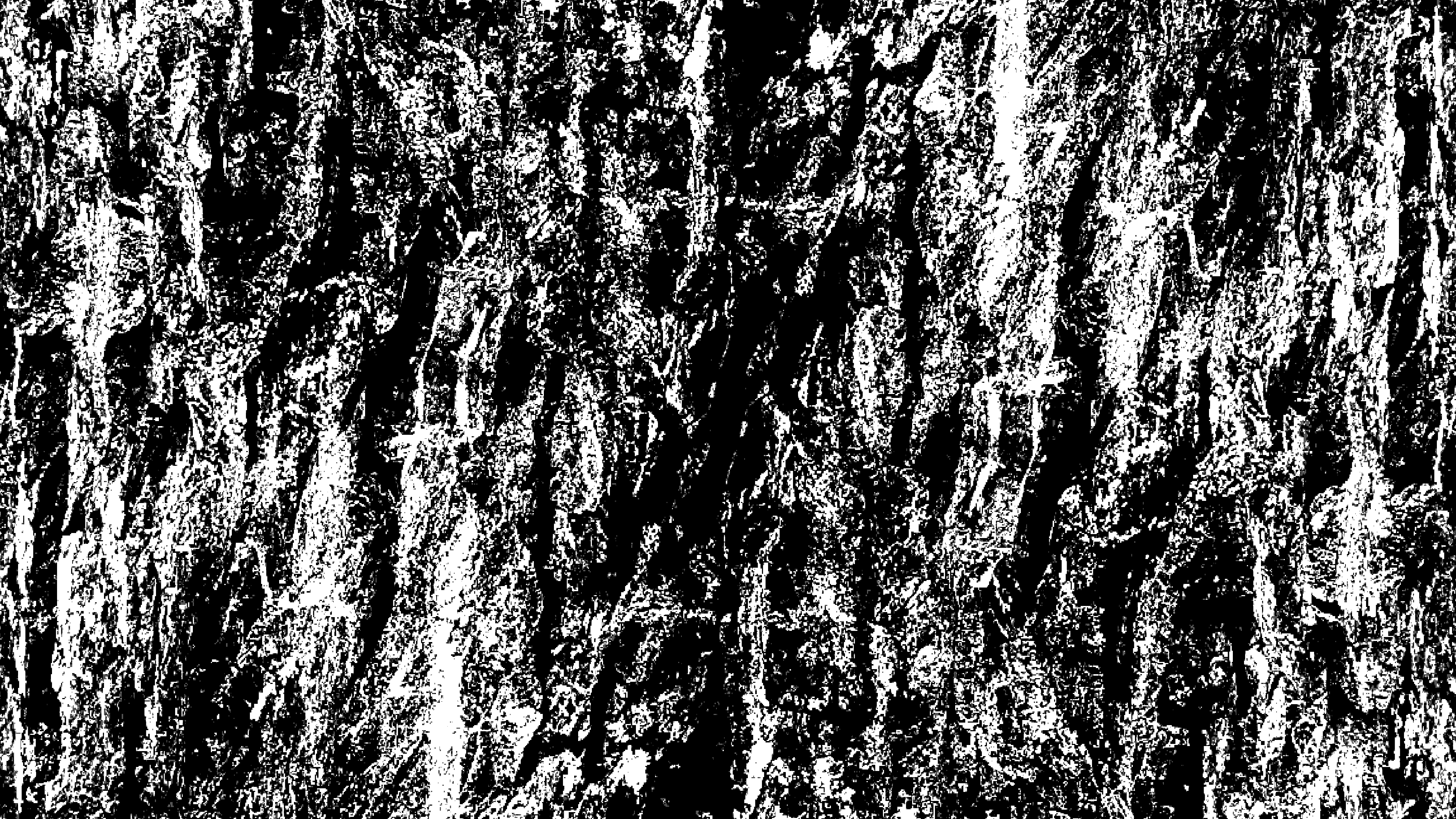 Organ 8